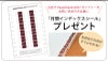 【2027】ペーパーブランクス 2027年 ダイアリー 【ミニ】サイズ　スケジュール帳　 Paperblanks