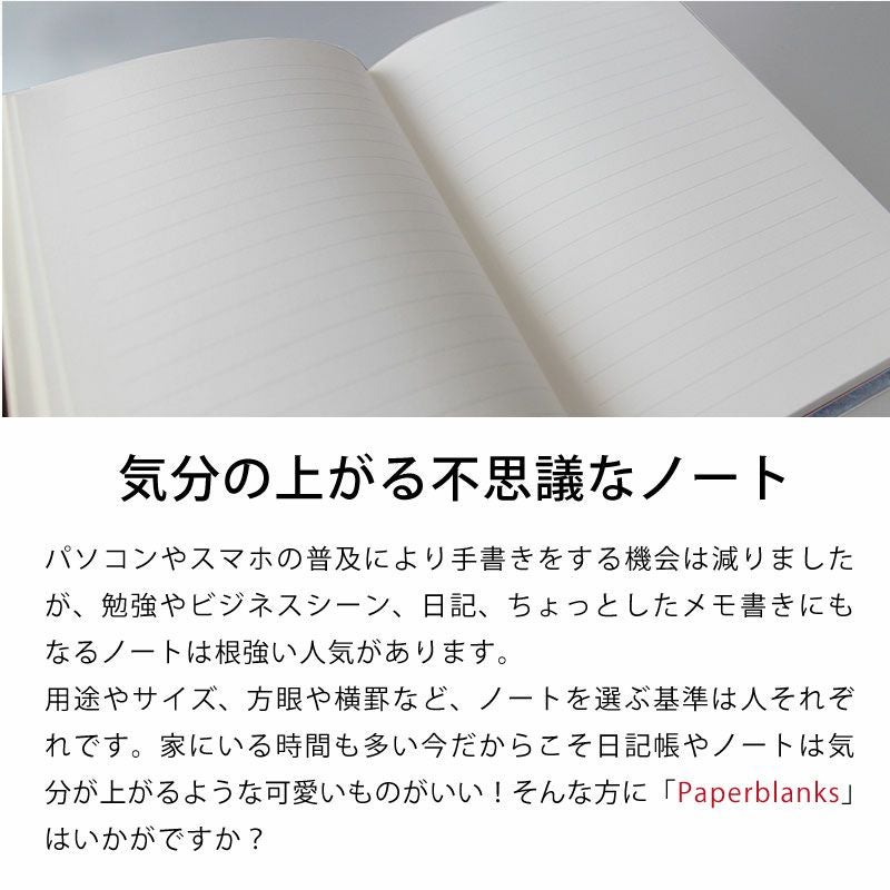 Paperblanks ペーパーブランクス 箔押し名入れノート ミニサイズ Peacock ピーコック Velvet ベルベット 95×140 横罫