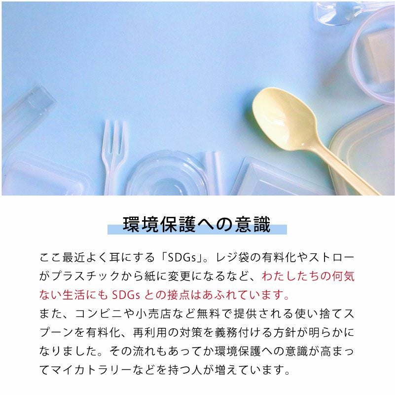 【名入れ対応】カトラリーセット 携帯用 お箸 スプーン フォーク マイカトラリー 名入れ彫刻 ラディッシュブラウン グリーン ブルー 持ち運び SDGs 学校 職場 アウトドア キャンプ