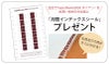 【2026】Paperblanksペーパーブランクス 2026年 ダイアリー ソフトカバー ミディサイズ