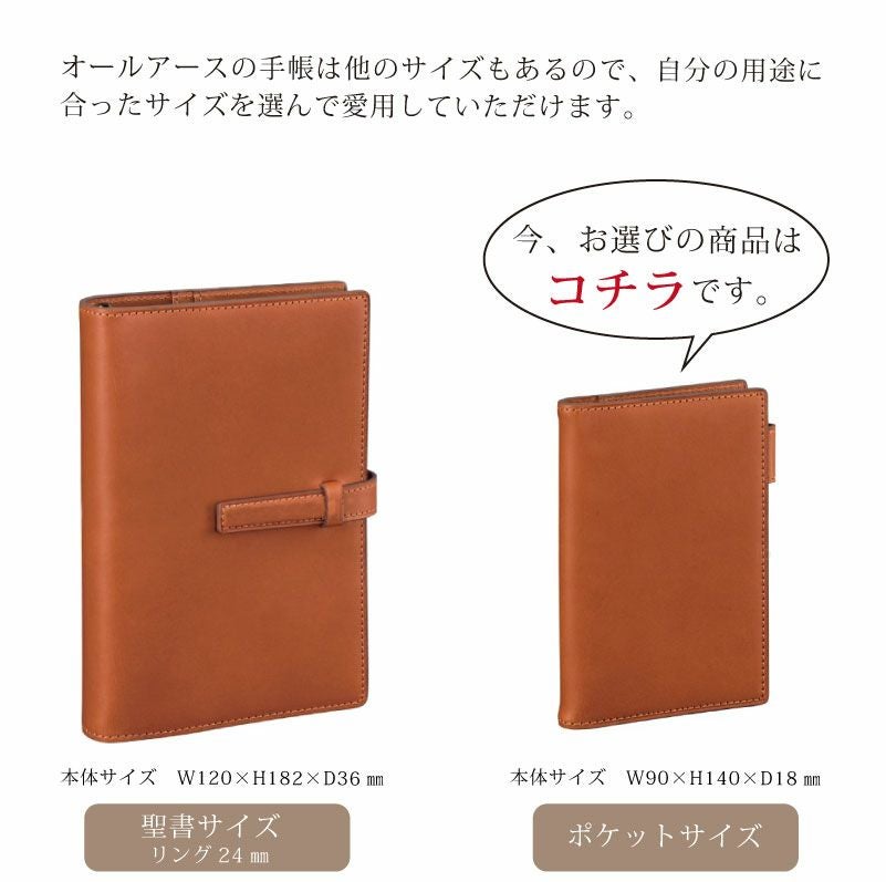 ダヴィンチ Davinci システム手帳 オールアース Allearth スリムポケットサイズ ブラック 11mm ミニ6