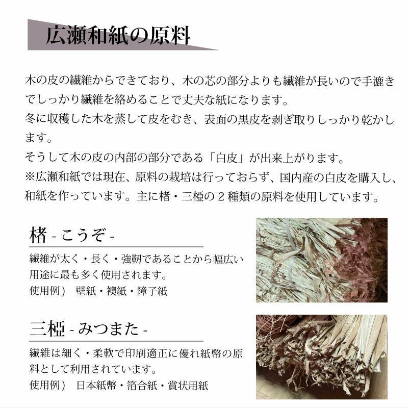 広瀬和紙 名刺入れ 2ポケット 日本製 手作り 草木染め 和紙 ログウッド 鉄媒染 こうぞ 鉄納戸 葡萄鼠