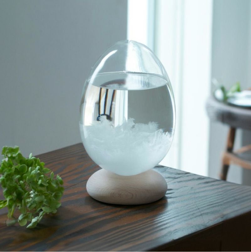 テンポパルス ストームグラス Tempo Pulse 100percent 名入れ