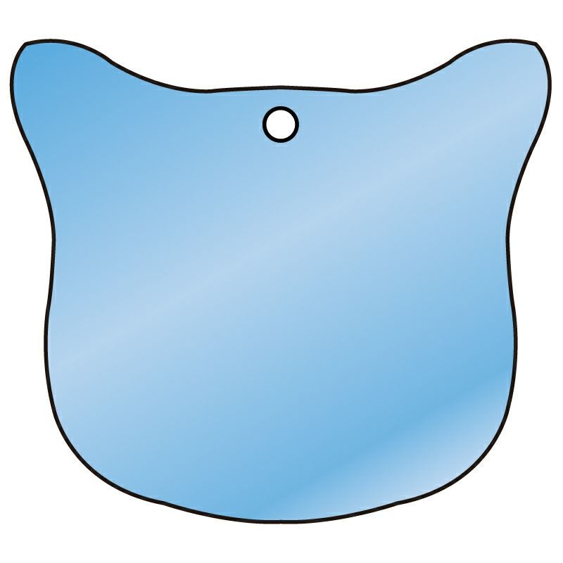 名入れ ネームタグ オーロラ ボールチェーン付 オーロラタグ キーホルダー チャーム くも 丸 六角形 ハート アニマル 入園 入学 通園 通学 キッズ 子供 出産 ペット 首輪 犬 猫 名札 防犯 迷子札