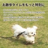 【名入れ】 【選べるシルエットデザイン】リード 自動巻取り式 伸縮 犬用 コードタイプ ラメカラー 伸縮リード ペット 犬 小型犬 超小型犬 ドッグラン ラメピンク ラメブルー ラメイエロー