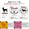 【名入れ】 【選べるシルエットデザイン】リード 自動巻取り式 伸縮 犬用 コードタイプ ラメカラー 伸縮リード ペット 犬 小型犬 超小型犬 ドッグラン ラメピンク ラメブルー ラメイエロー