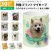 【オリジナルプリント】特急プリント マグカップ フォトプリント オーダーメイド 名入れ うちの子グッズ 犬 猫 ペット 孫 ギフト ノベルティ 記念品 誕生日 クリスマス