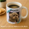 【オリジナルプリント】特急プリント マグカップ フォトプリント オーダーメイド 名入れ うちの子グッズ 犬 猫 ペット 孫 ギフト ノベルティ 記念品 誕生日 クリスマス
