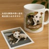 【オリジナルプリント】特急プリント マグカップ フォトプリント オーダーメイド 名入れ うちの子グッズ 犬 猫 ペット 孫 ギフト ノベルティ 記念品 誕生日 クリスマス