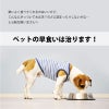 【名入れ対応】フードボウル 食器 早食い防止 ペット 犬 中型犬 大型犬 餌 エサ ごはん えさ皿 スローフード 大きいサイズ 