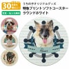 【写真入れ/名入れ無料】 特急プリント オリジナルコースター ソフトコースター ラウンドホワイト 写真プリント 全面プリント オーダーメイド ペット うちの子グッズ 犬 猫 孫 テーブルウェア カフェ 記念 ギフト メモリアル 思い出 景品 誕生日 プレゼント