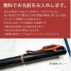 【名入れ無料】　ラミー サファリ LAMY Safari ハリーポッター Harry Potter ハリポタ 万年筆 ペーパーブランクス Paperblanks グリフィンドール ホグワーツ ミディ 無地 ノート 2点セット 誕生日 ギフト 推し活