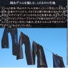 ラダイト LUDDITE 岡山デニム リゾネートペンケース 大容量 多機能 筆箱 LDD-REPN