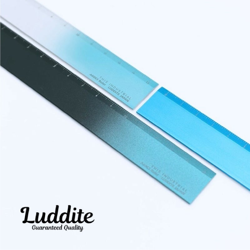 THIS INDUSTRIAL Attractive PenTray 定規 ものさし 15cm