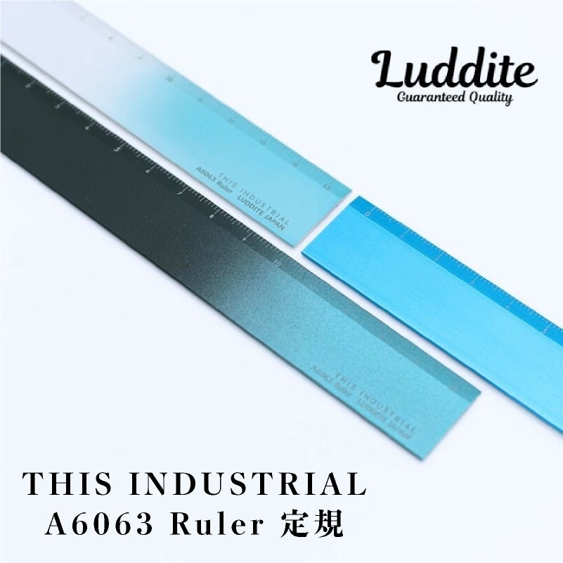 THIS INDUSTRIAL Attractive PenTray 定規 ものさし 15cm