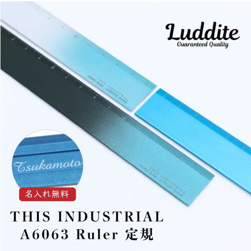 THIS INDUSTRIAL Attractive PenTray 定規 ものさし 15cm