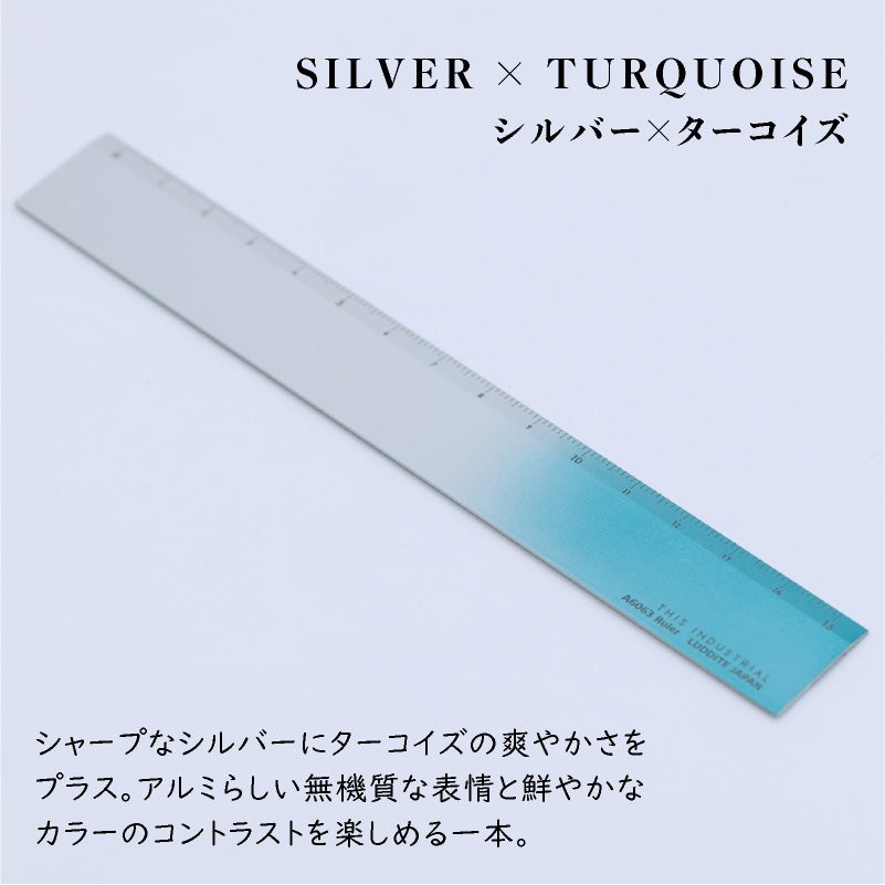 THIS INDUSTRIAL Attractive PenTray 定規 ものさし 15cm