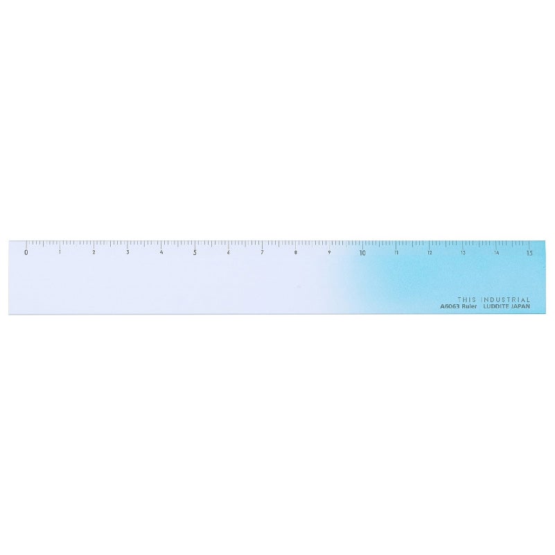 THIS INDUSTRIAL Attractive PenTray 定規 ものさし 15cm