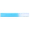 THIS INDUSTRIAL Attractive PenTray 定規 ものさし 15cm