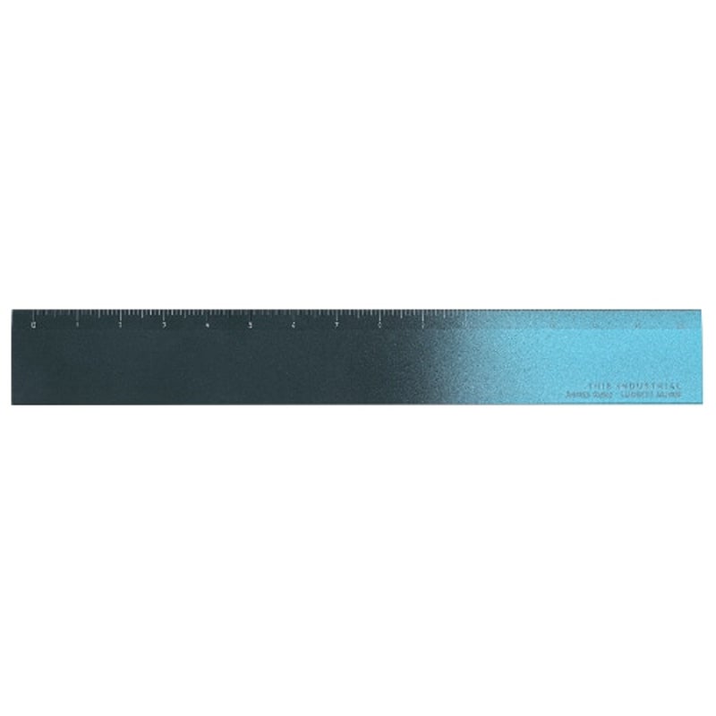 THIS INDUSTRIAL Attractive PenTray 定規 ものさし 15cm