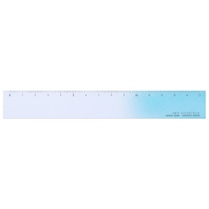 THIS INDUSTRIAL Attractive PenTray 定規 ものさし 15cm