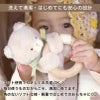 amanoppo  こぐまくんのおもちゃ2点セット ふんわりえほん 布絵本  布ラトル  ふんわりラトル こぐまくん ネームタグおまけ付き  おもちゃ ベビー 赤ちゃん 幼児 知育 音 0歳 1歳 育児 マタニティ プレママ ギフト  プレゼント 出産祝い